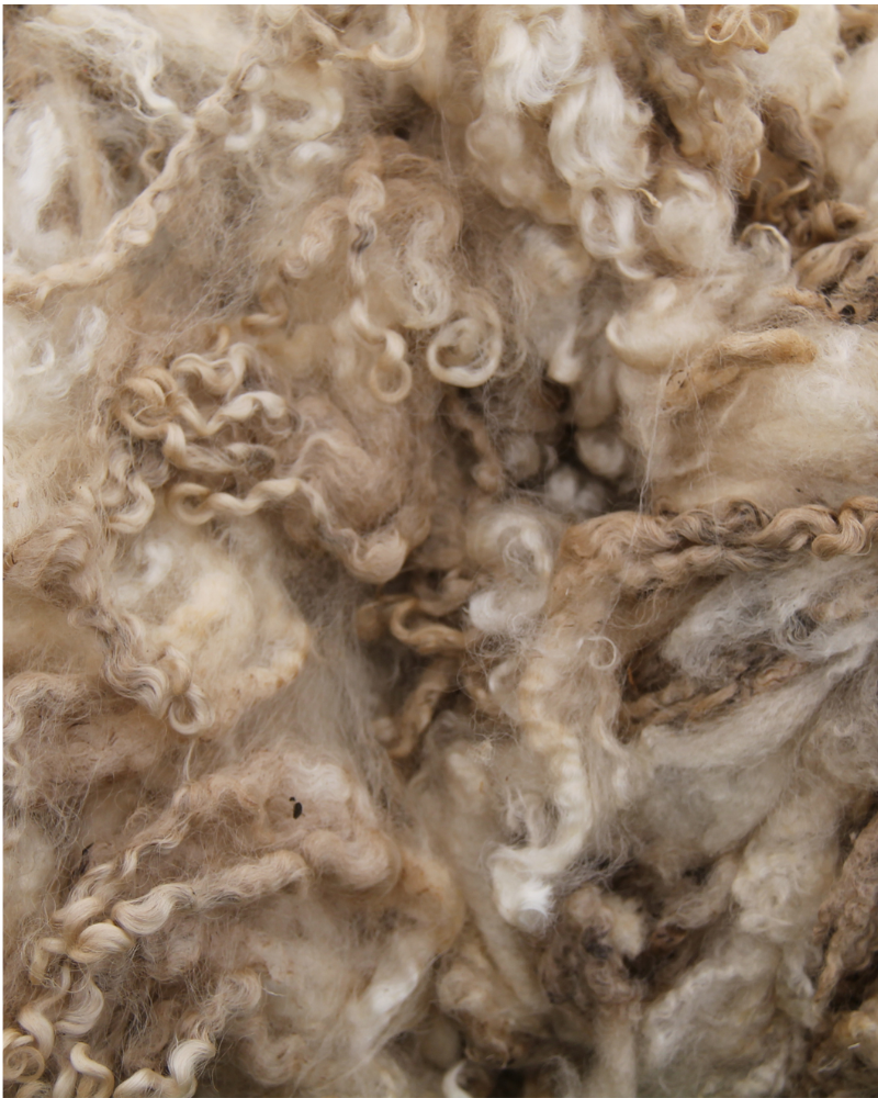 Wool